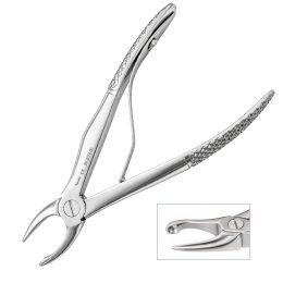 Tartar Forceps - Straight