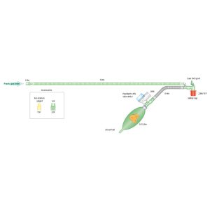 Ayres-T-Piece-Paediatric-Circuit