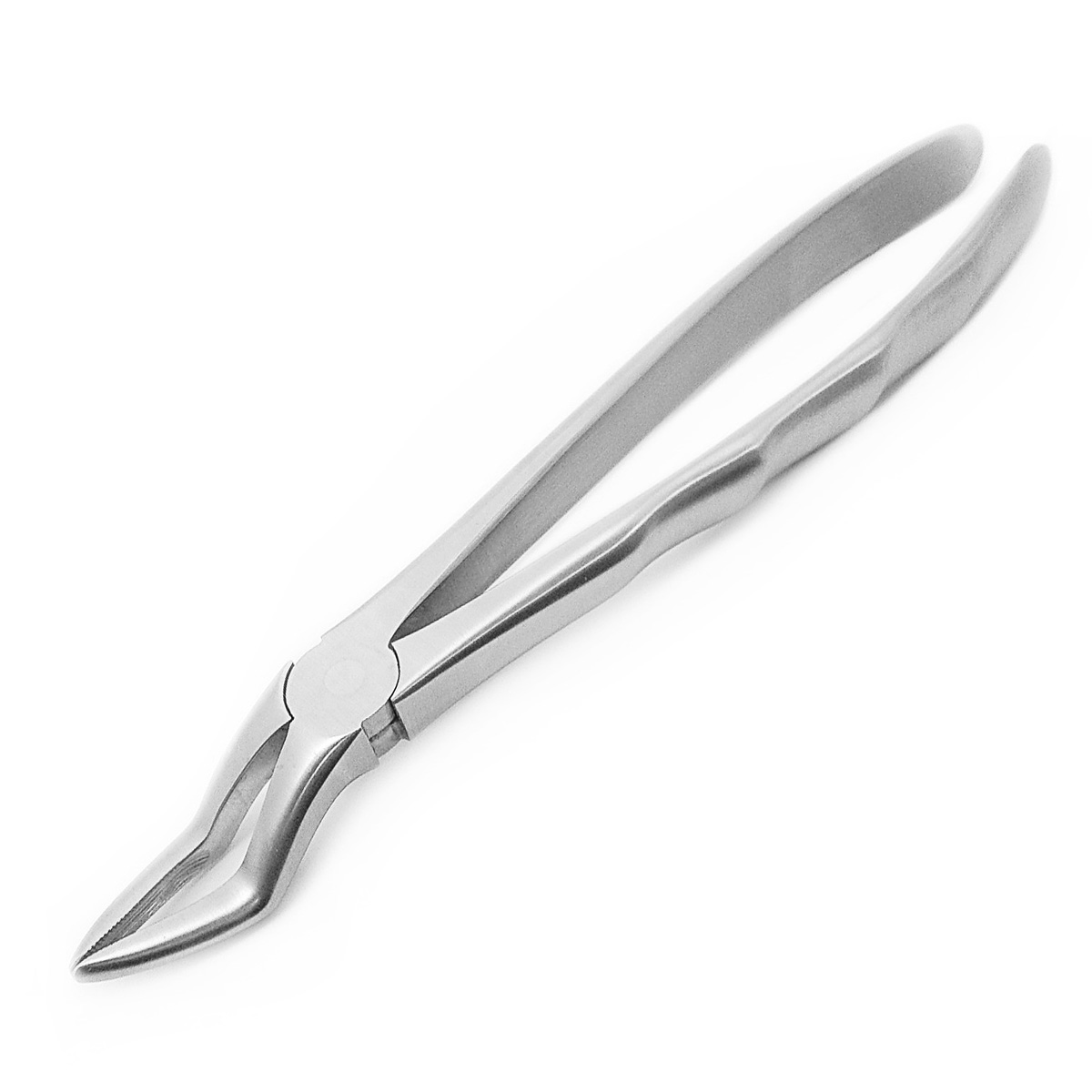 Root Removal Forceps #2