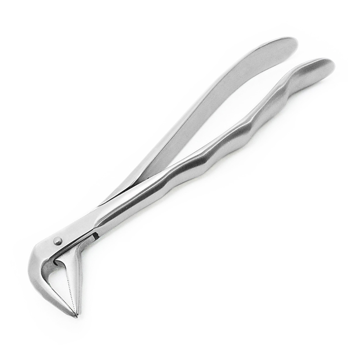 Root Removal Forceps #3