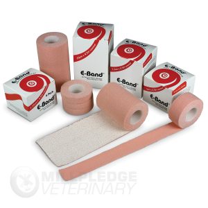 Elastic Adhesive Bandage