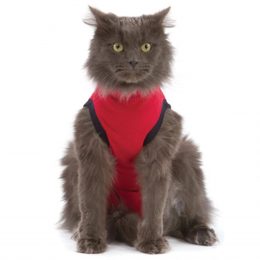 MPS Medical Pet Shirt Cat