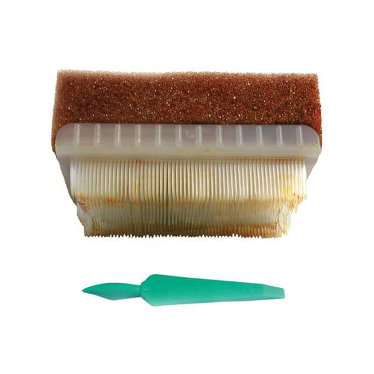 vinmax Surgical Non Disposable Scrub Brush with Nail India | Ubuy