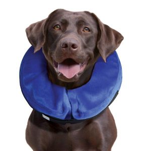 KONG Cloud Collar