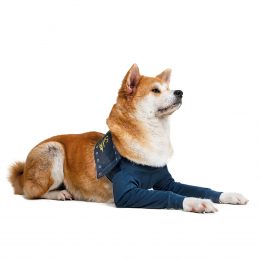 Medical Pet Shirt Double Front Leg