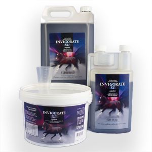 Invigorate-XL-Equine