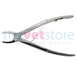 Small Incisor Forceps