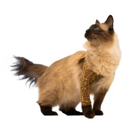 MPS Leopard Print Front Leg Sleeve: Cats